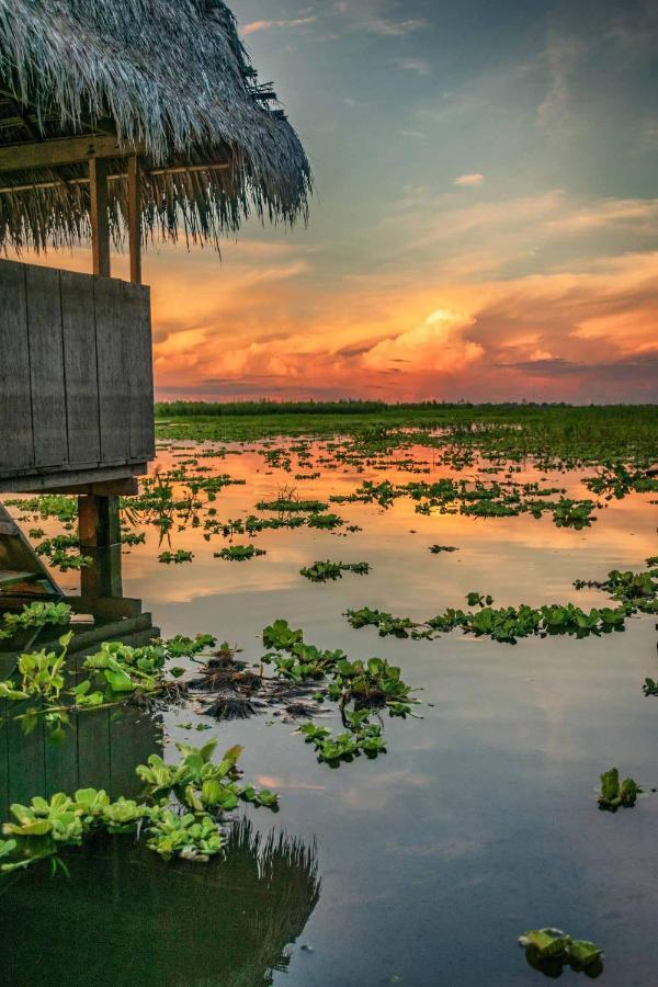 Libertad Jungle Lodge Yucuruche المظهر الخارجي الصورة