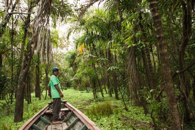 Libertad Jungle Lodge Yucuruche المظهر الخارجي الصورة