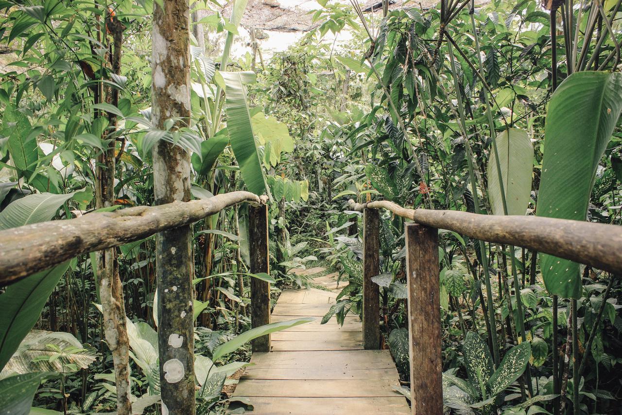Libertad Jungle Lodge Yucuruche المظهر الخارجي الصورة